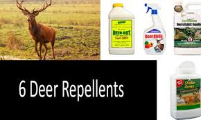 deer repellents guide top 6 best deer
