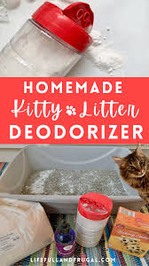 homemade kitty litter deodorizer life