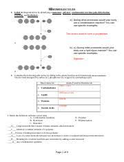 2014 Biomolecule Worksheet Key Doc 9biomolecules 1 Label
