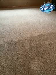 carpet cleaning area rug cleaning a