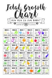 19 Best Baby Size Charts And Timelines Images Baby Size