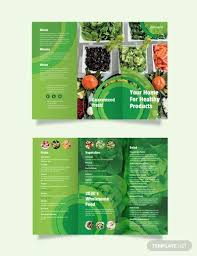 healthy food brochure 10 exles