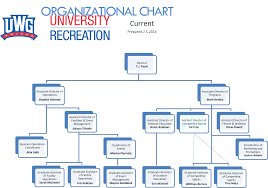 Urec Organizational Chart Organizational Chart Wellness