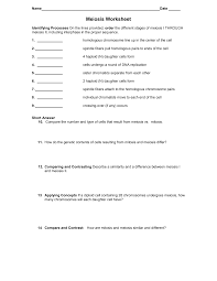 Particularly by making use of terms that give an impression that something is less important than it is. Https Henryclayspoonamore Weebly Com Uploads 3 0 5 7 30573605 Meiosis Worksheet Pdf