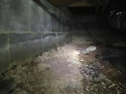 Ina Basement Systems Before