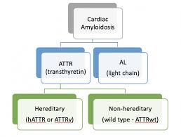 a brief overview of amyloidosis