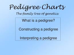 Ppt Pedigree Charts Powerpoint Presentation Free Download