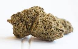Image result for whats MoonRocks