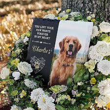 bemaystar personalized dog memorial