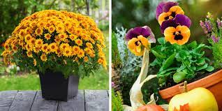 Fall Garden Container And Planter Ideas