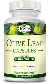 organic olive leaf capsules 100 ct