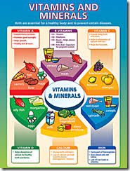 Teaching Kids The Abcs Of Essential Vitamins Super
