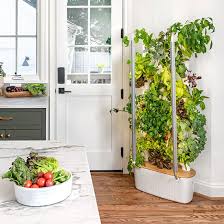 Best Indoor Gardening Kits Systems