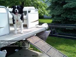 As always, the handy boater has the ability to put together their own interpretation of a dog ramp. Boating With Dogs Dog Trick Academy Forum Dog Ramp Dog Boat Ramp Make A Boat