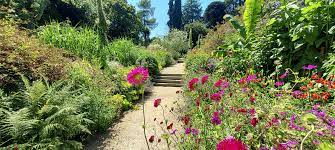 national botanic garden of ireland