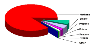 Write The Composition Of Natural Gas Prepare A Pie Chart