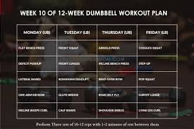 12 week dumbbell workout plan with free pdf