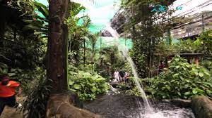 The park is located in the area of the perdana botanical garden, which is easily accessible from the city centre. Butterfly Park Kuala Lumpur Top 10 Around Youtube