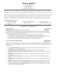    download cv sample doc   resume sections        Amusing Professional Resume Format Examples Of Resumes    