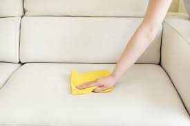 best ways to clean a couch cleanzen