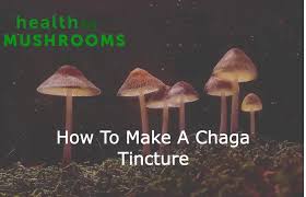 how to make a chaga tincture health