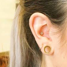Most ears are pierced with a 20 or 18 gauge needle, thus using a 20 or 18 gauge earring. Your Guide To Conch Piercings Chronic Ink