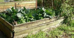 Build A Raised Garden Bed And Super