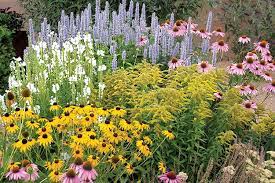 Gardening With Native Plants Cultural
