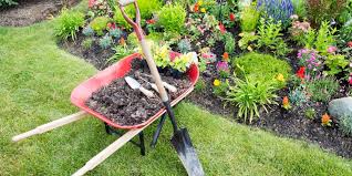 Landscaping Around Your Septic Tank