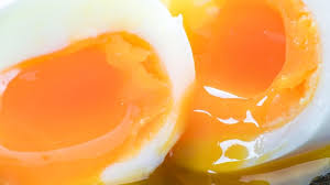 Bildergebnis für eier