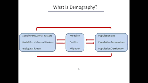 what is demography you