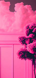 tree aesthetic pink wallpapers