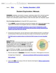 On the simulation pane of the cell division gizmo™, check that. Meiosis Se 2 Studocu