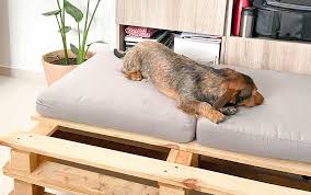 hacer una cama para perro homecenter