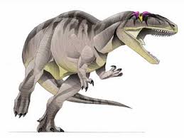 Image result for giganotosaurus