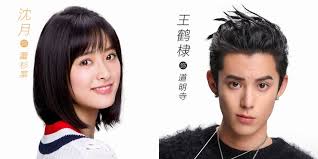 sinopsis meteor garden 2018