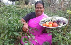 The Garden Of Good Health Srinivasan