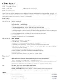 To be precise, there are five critical sections every resume should contain, regardless of how the page is put together. Chief Executive Officer Ceo Resume Template Examples