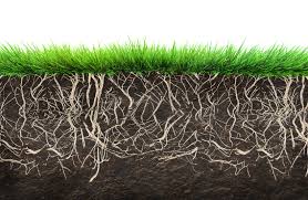 The wide world of turf installation can be boiled down into a couple of basic steps. How To Install Astroturf On Soil