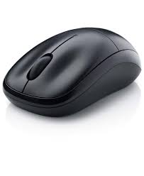 Dell Wireless Mouse 