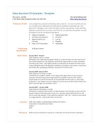Sales Assistant CV      