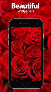 flower wallpapers themes app