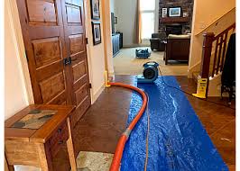 best way carpet cleaning in ann arbor