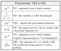 Monomials Binomials And Polynomials