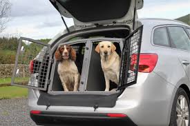 Your pets may require additional ground transportation to get to and from airports which can accommodate pet travel. Why Road Beats Air For Transporting Your Pet Citizenshipper