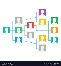 Project Team Organization Chart Colleagues