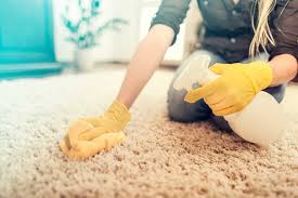home remes for cleaning carpets stains