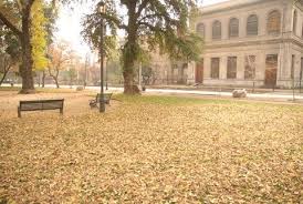 Image result for autumn in chile
