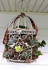 Decoration Ideas With Birdcage Planters