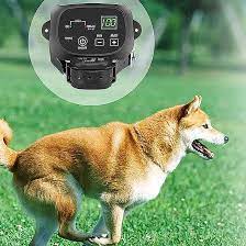 Amazon.com: NXX Fence for Stubborn Dogs Above Ground Electric Pet Fence  with Waterproof and Rechargeable Training Collar for Small Medium Large  Dogs Outside,one for Three : Pet Supplies